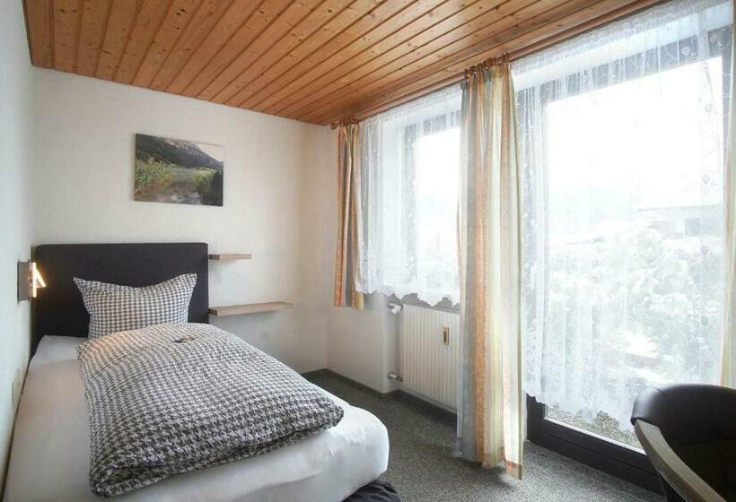 Одноместный Номер с Террасой, Alpenblick Berghof