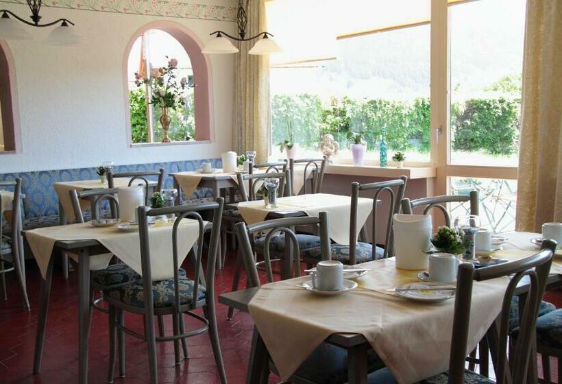 Одноместный Номер с Террасой, Alpenblick Berghof