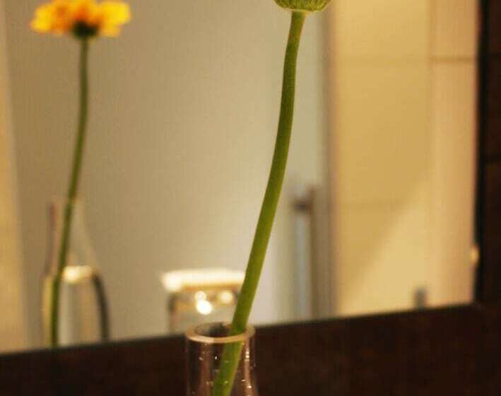 اتاق استاندارد یک نفره, Daniel