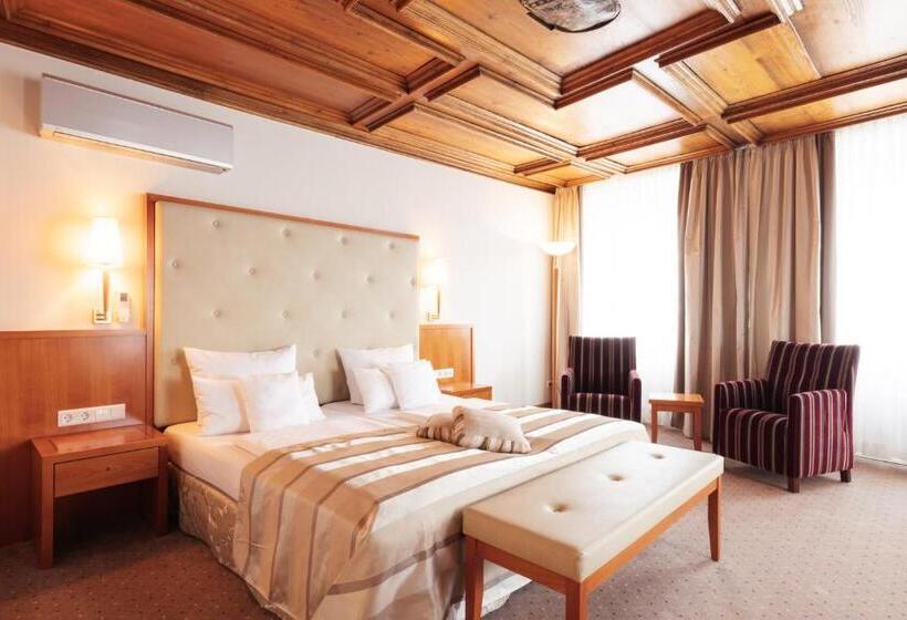 带河湖景观的轻年套房, Lindauer Hof