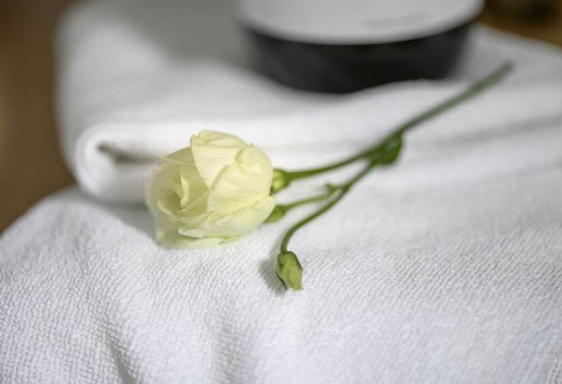 اتاق استاندارد, Maier