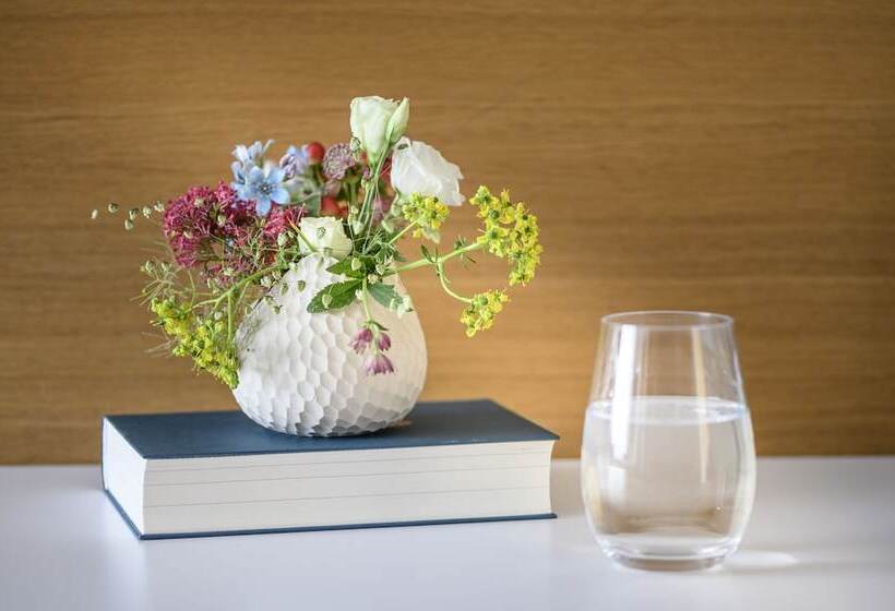 اتاق استاندارد, Maier