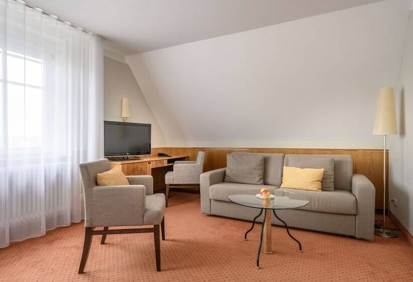 اتاق کلاسیک, Maier