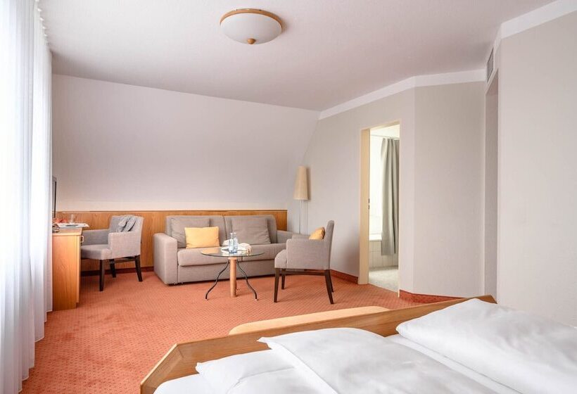 اتاق کلاسیک, Maier