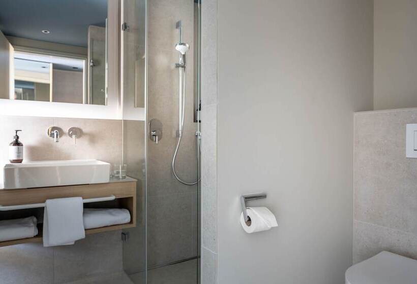 اتاق استاندارد, Maier