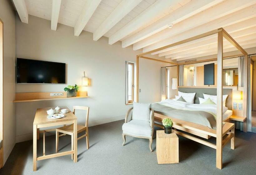 スタンダードルーム, Schlosshotel Steinburg