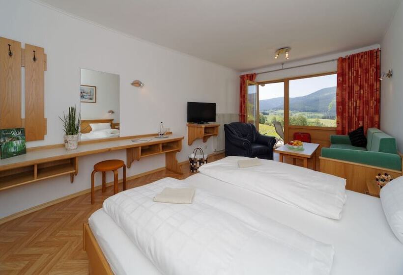 Номер Стандарт с Террасой, Osserhotel Garni