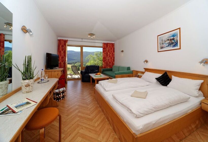 标准间带露台, Osserhotel Garni