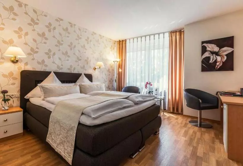 ビジネスルーム, Stadthotel Geis