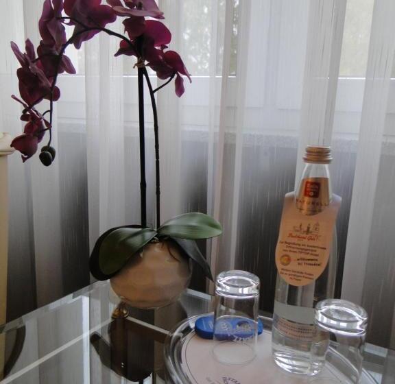 비즈니스룸, Stadthotel Geis