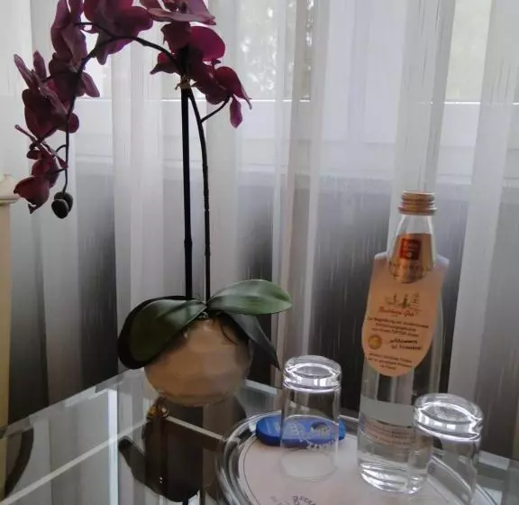 ビジネスルーム, Stadthotel Geis