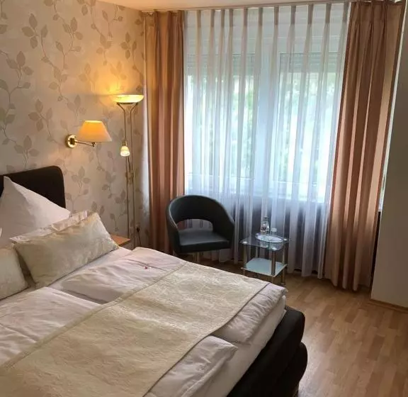ビジネスルーム, Stadthotel Geis