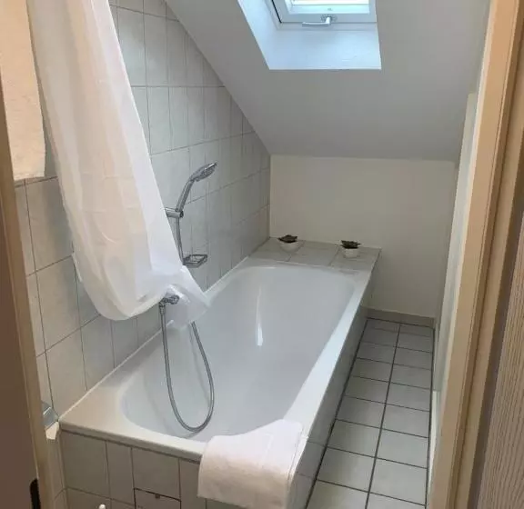 １ベッドルームのスーペリアアパートメント, Stadthotel Geis