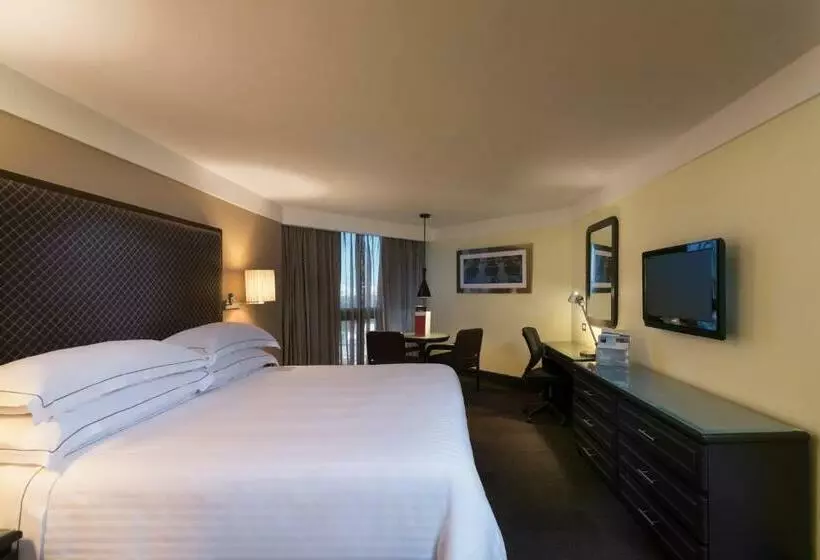 اتاق سوپریور, Barcelo Santo Domingo