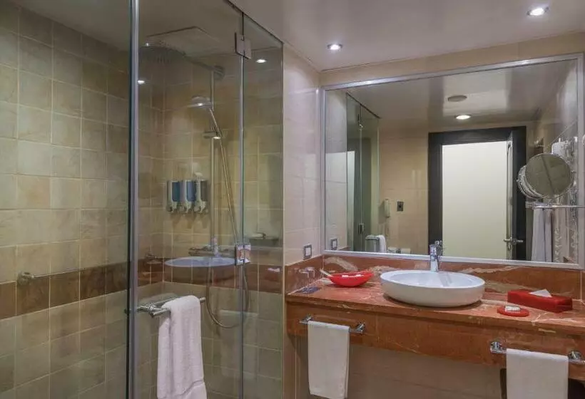 اتاق سوپریور, Barcelo Santo Domingo