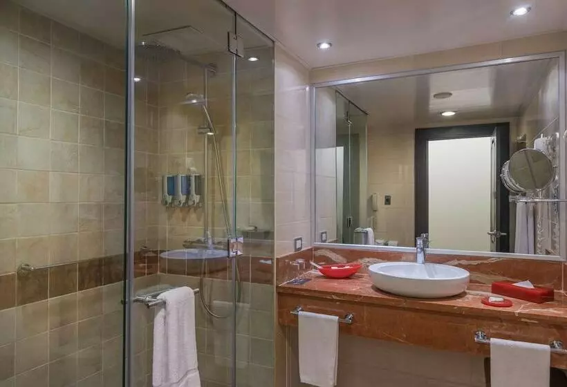 اتاق سوپریور, Barcelo Santo Domingo