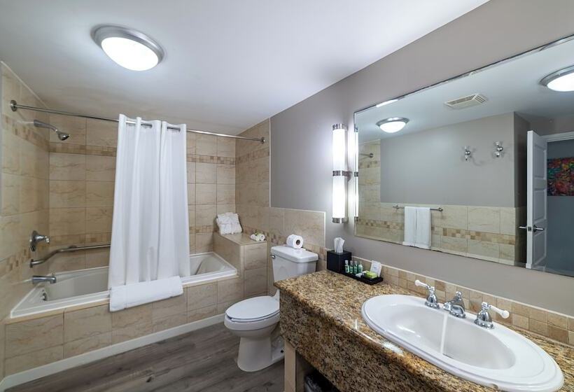 اتاق استاندارد با چشم‌انداز دریا, Fort Young