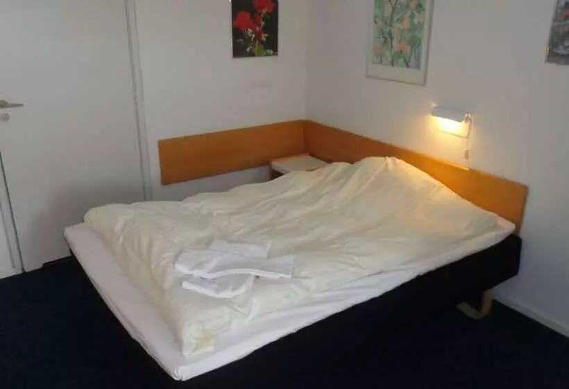 Cameră Standard Individuală, Herning