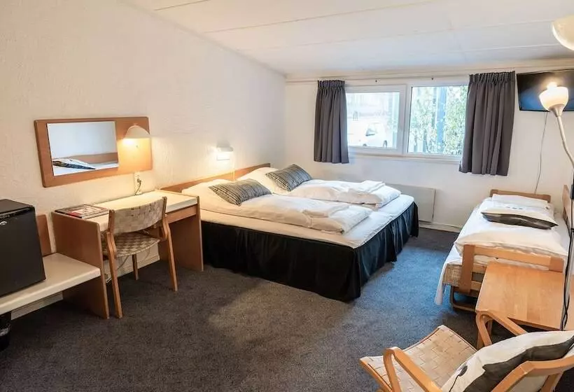 Cameră Familiară, Herning