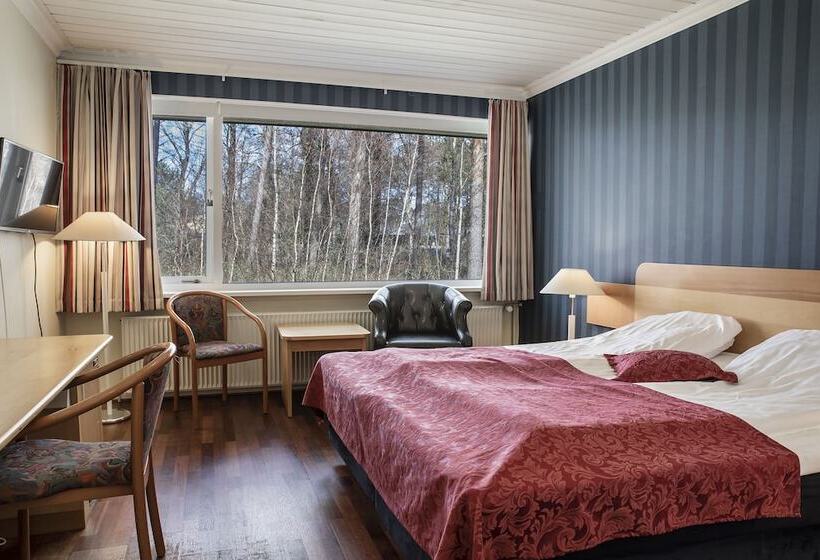 スタンダードルーム, Marina