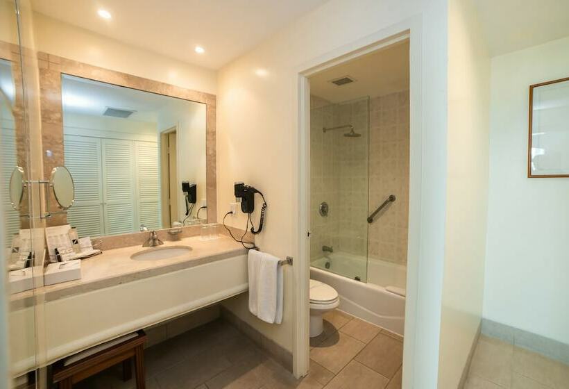 غرفه قياسيه سريرين مزدوجين, Colon Salinas