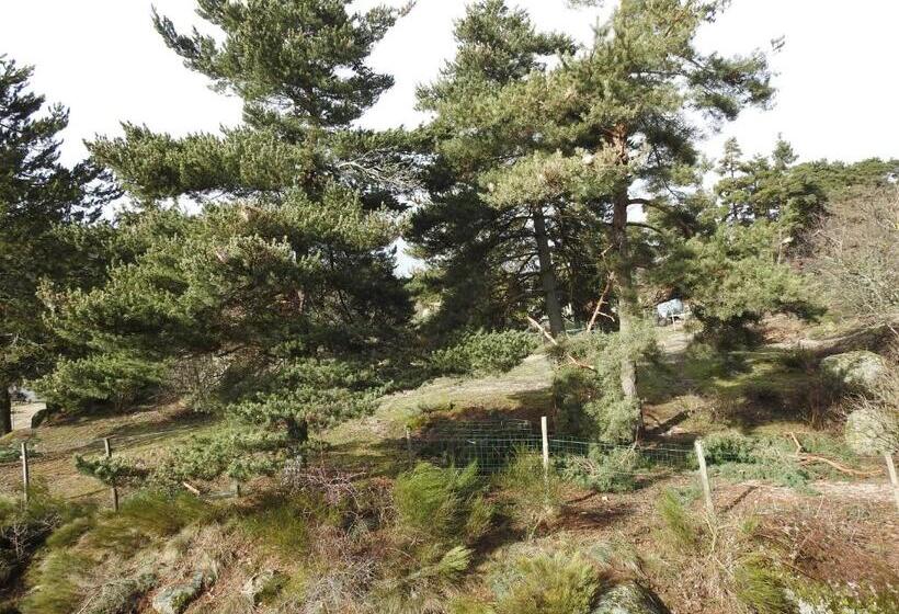 סטודיו משפחתי, Le Chalet