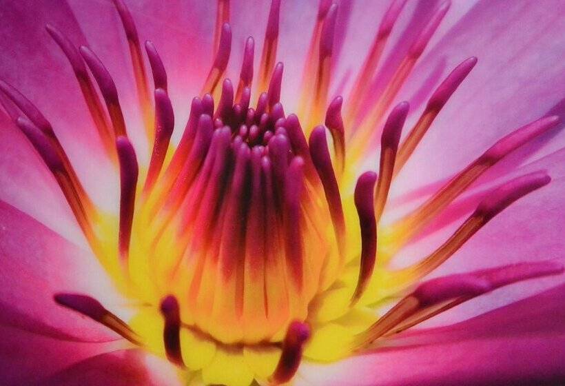 标准间, The Originals City, Hôtel Le Garden, Tours Sud