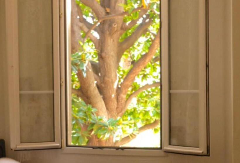 コンフォートルーム, Belle Meuniere