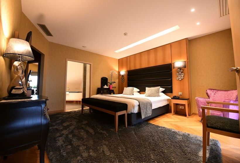 جناح جونيور, Bristol