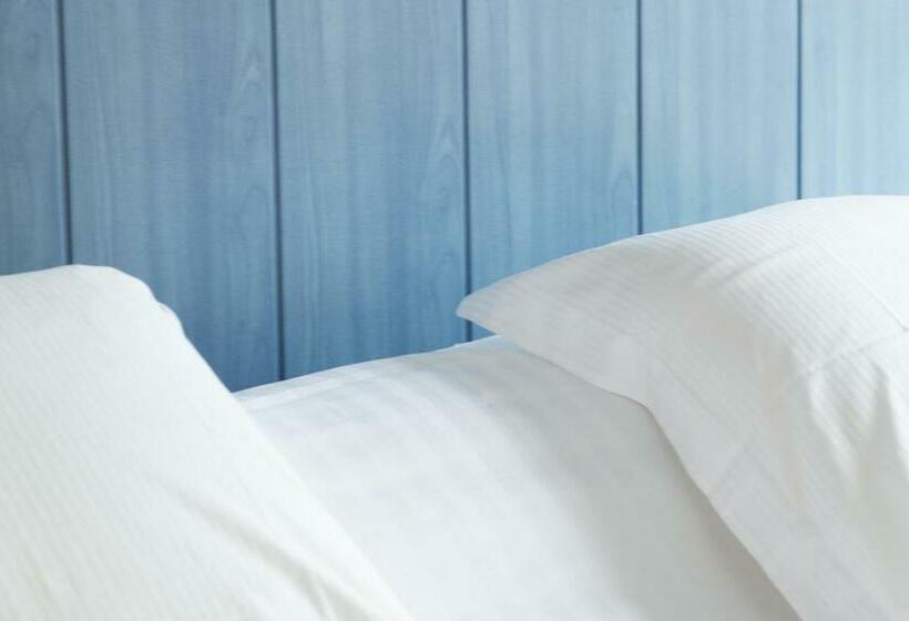 标准间带湖景, Le Pavillon Bleu