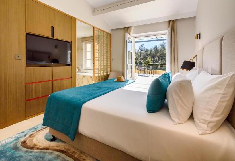 Номер Deluxe с Террасой, Domaine De Valmouriane