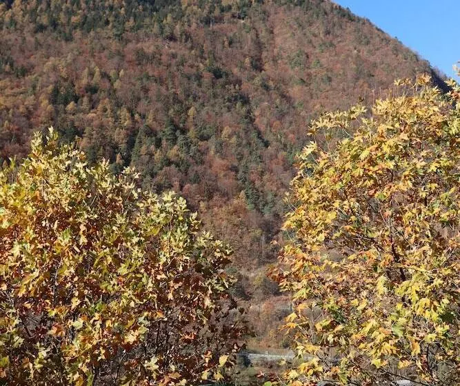 اتاق اکونومی, Inn Design Moutiers