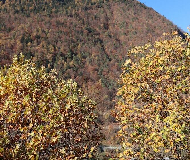 غرفة سوبيريور, Inn Design Moutiers