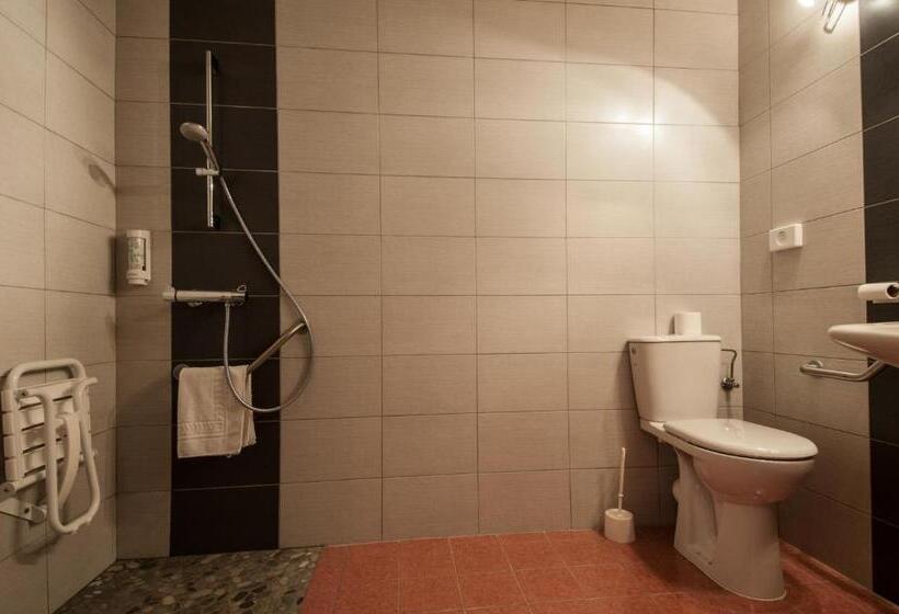 غرفة قياسية لذوى الاحتياجات الخاصة, Brit Hotel Florimont