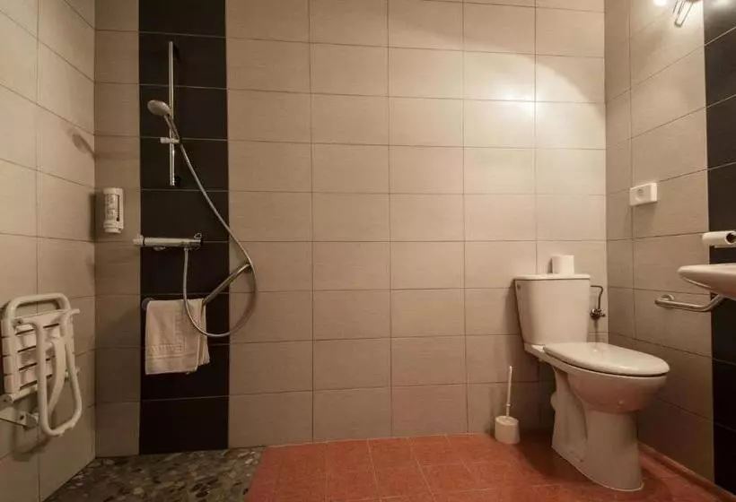身障者適用スタンダードルーム, Brit Hotel Florimont