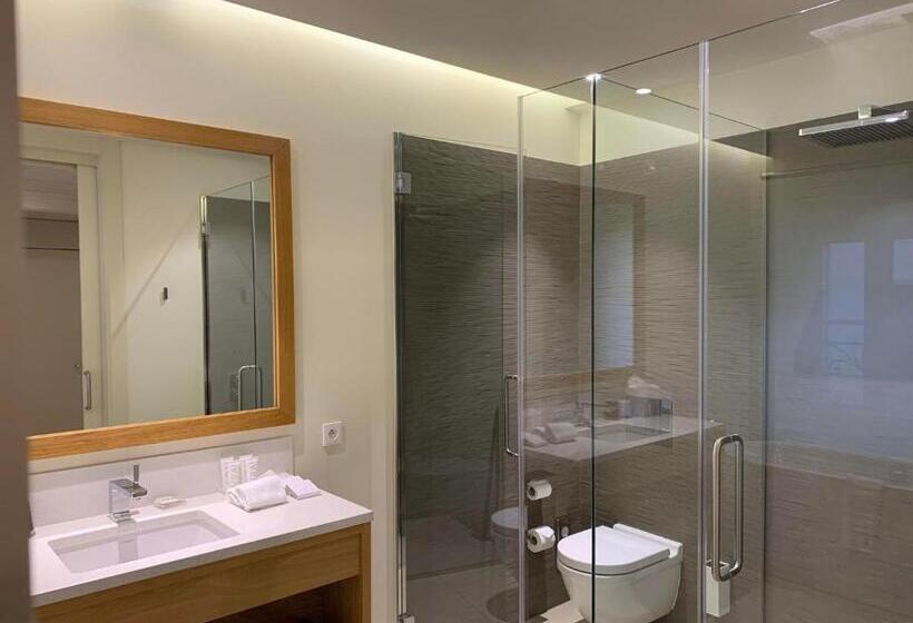 חדר דלוקס, Hôtel De Cavoye