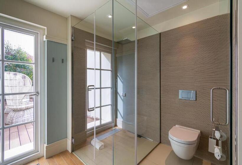 סוויטה עם טרסה, Hôtel De Cavoye