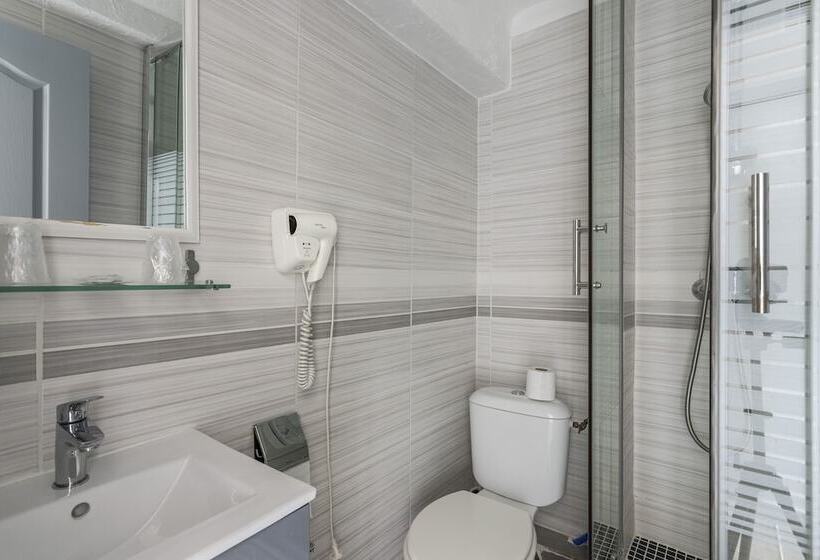 חדר אקונומי, Les Palmiers En Camargue