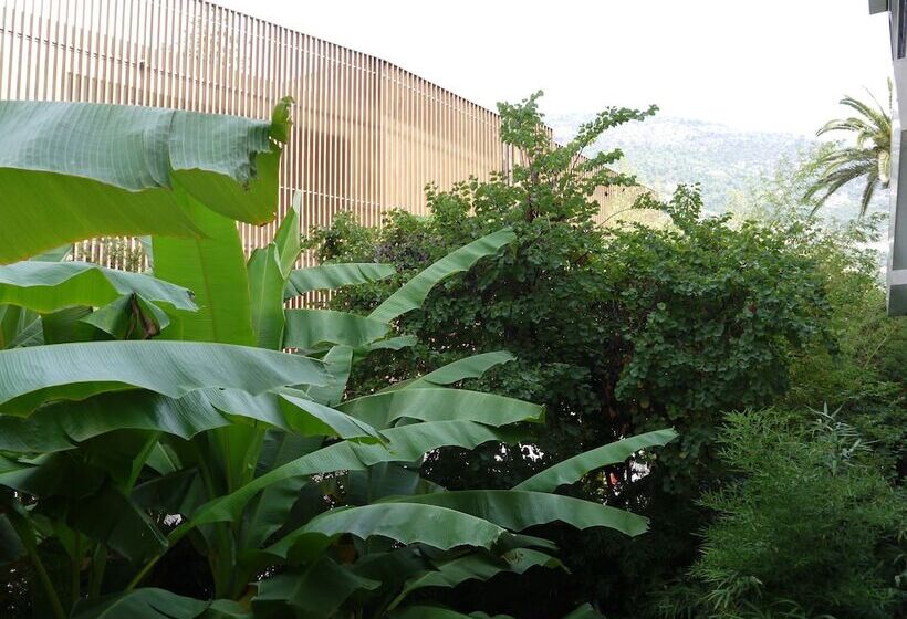 חדר סטנדרט נוף לגינה, Napoleon