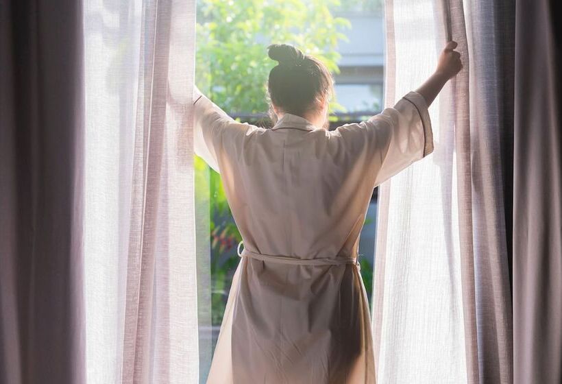 Номер Стандарт, Domaine Des Dryades