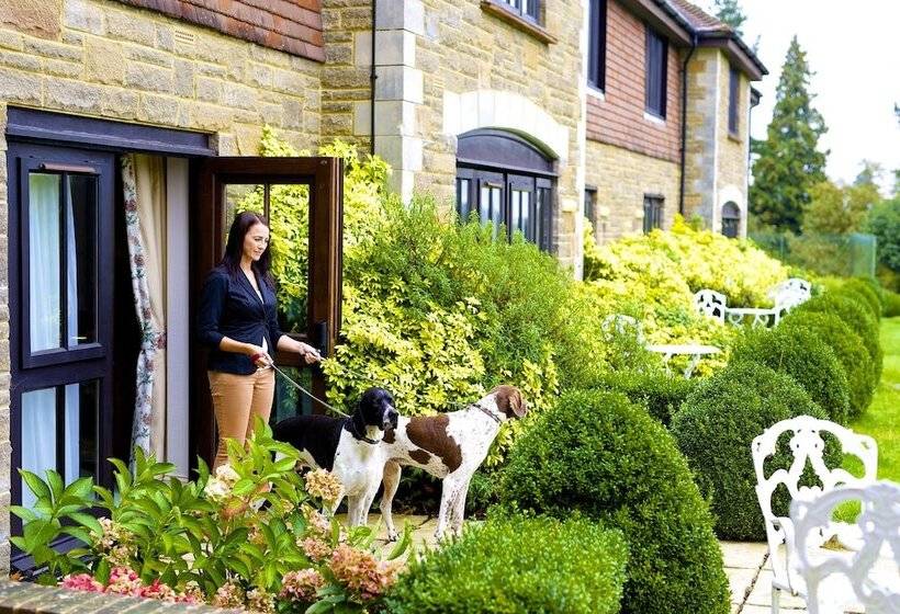 ジュニアスイート, Ashdown Park