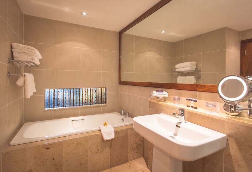 エクゼクティブルーム, Europa