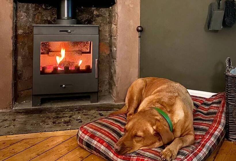 شقة غرفة واحدة, Heathpark House