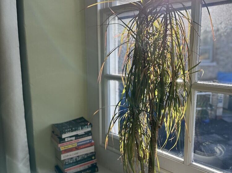 スタンダードルーム, The Old Bakehouse