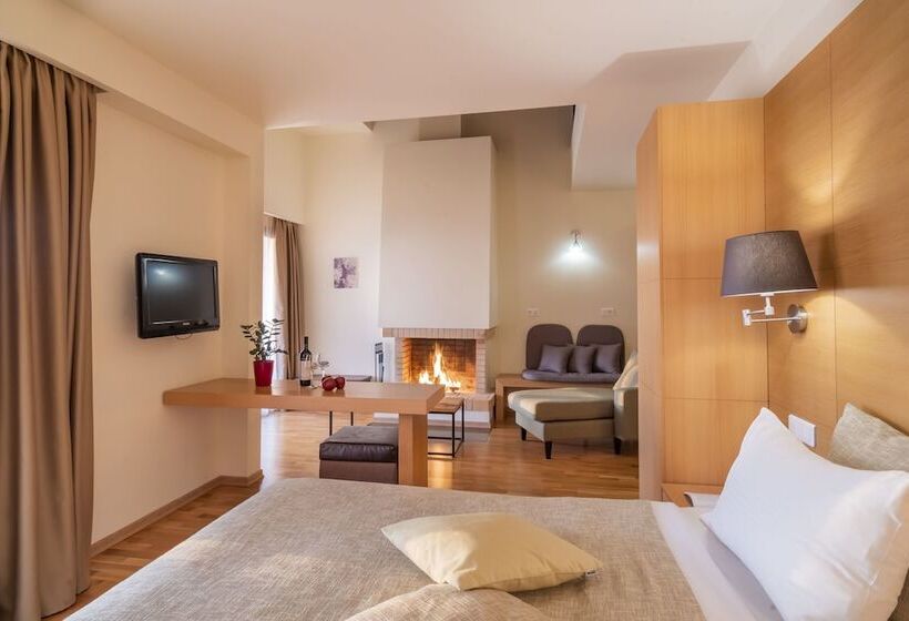 سوییت اجرایی, Domotel Anemolia Mountain Resort