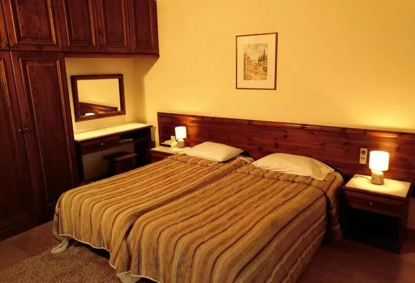 シングルデラックスルーム, Domotel Anemolia Mountain Resort