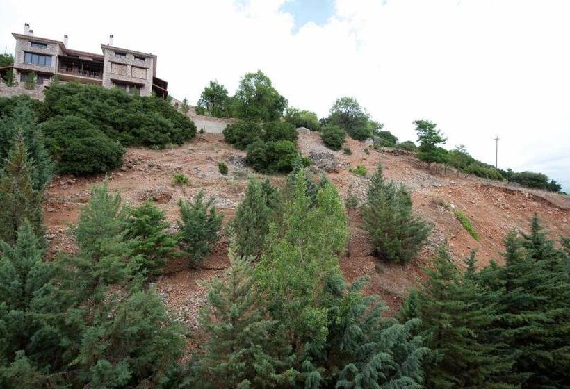 اتاق استاندارد سه نفره, Domotel Anemolia Mountain Resort