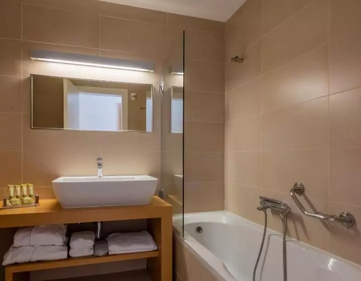 エグゼクティブ ルーム、眺望あり, Domotel Anemolia Mountain Resort