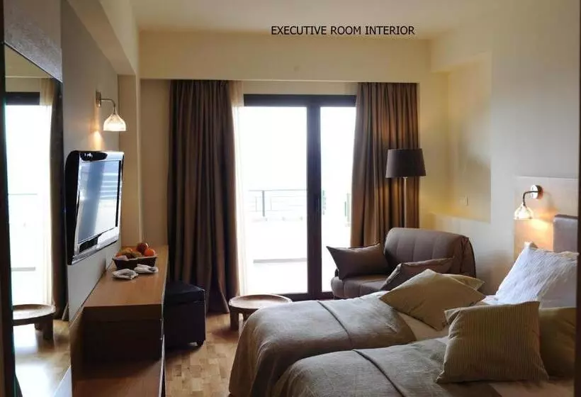 エグゼクティブ ルーム、眺望あり, Domotel Anemolia Mountain Resort