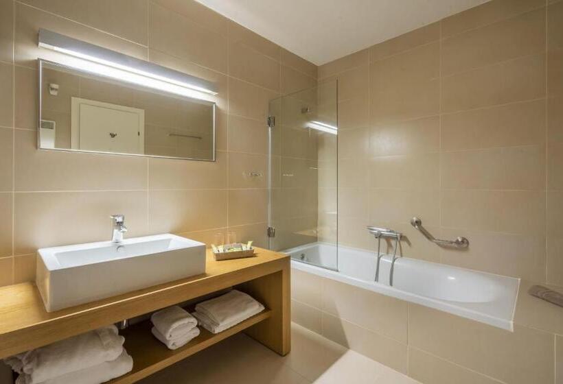 سوئیت اجرایی با مشاهده, Domotel Anemolia Mountain Resort